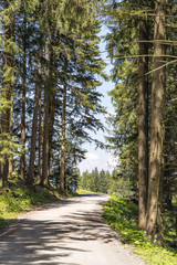 walking path Blomberg