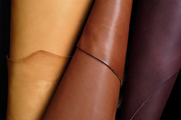 skins sample, leather