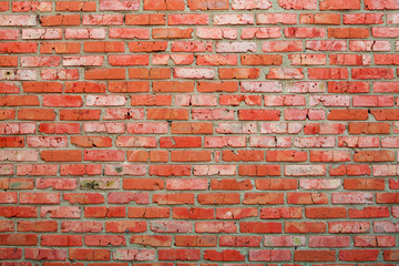 Naklejka premium wall background