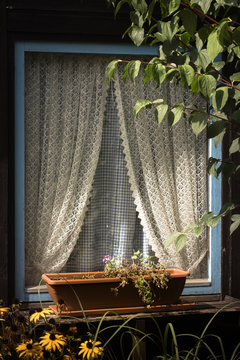 Gartenh&auml;uschenfenster