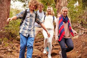Fototapeta premium Family hiking through a forest, close up