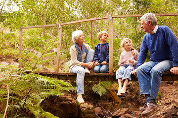 Grandparents sitting with grandkids on a bridge in a forest - obrazy, fototapety, plakaty