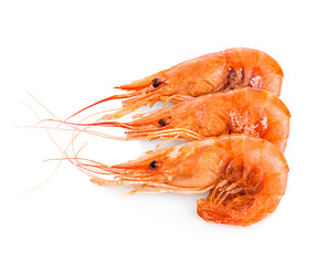 Shrimps isolated on a white background.