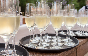 champagne glasses