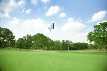 Obraz premium Golf Course Green
