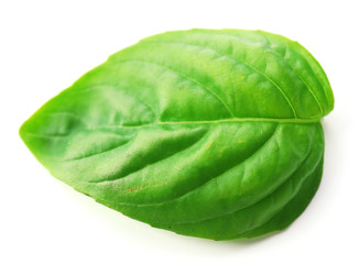 Leaf of green fresh basil isolated in white