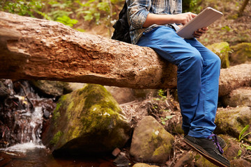 Boy sitting on a tree in a forest using a tablet computer