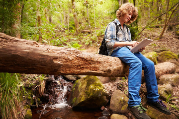 Boy sitting on a tree in a forest using a tablet computer