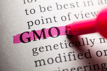 Fototapeta premium Genetic Modification