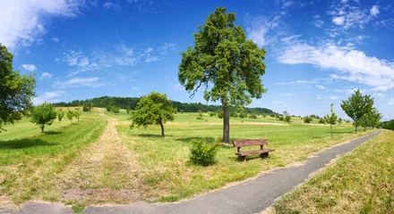 Cercles muraux Été Biosphärenreservat Bliesgau Saarland – Natur Landschaft Panorama