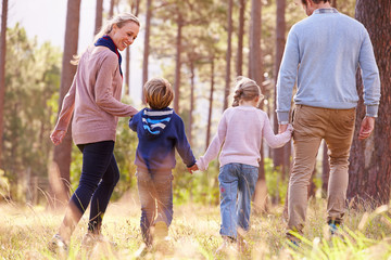 Family walking towards a forest, back view