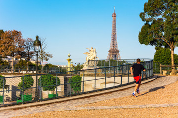 Tuileries Garden (Jardin des Tuileries) in the summer morning, P