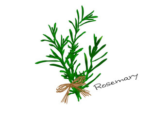 An illustration of a bunch of bright green rosemary tied with a raffia bow.