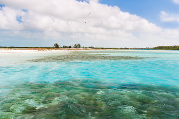 Fototapeta premium Soft wave of the sea on the sandy beach. Blue sky, white sand, Cuba.