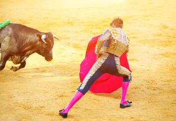 Traditional corrida - bullfighting in Spain