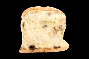 moldy bread