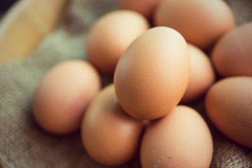 Fresh egg from a chicken farm