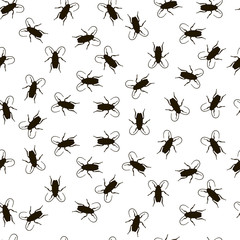 Cockroach on white background. Vector