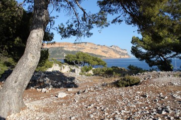 Sentier du littoral dans les calanques à Cassis