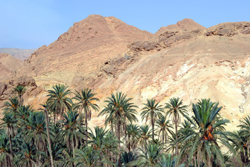 Fototapeta na wymiar Atlas mountains, oasis