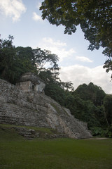 Fototapeta na wymiar Archaeological zone of Palenque. Palenque, Chiapas, Mexico.