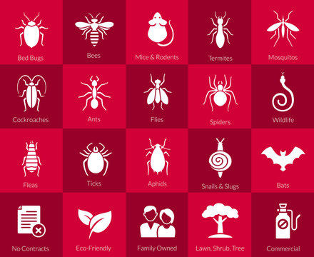 Icon Set For Pest Control Companies