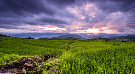 long exposure soft focus sunset over a rice terraces of Papongpi