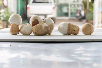 mushrooms flavoring for cooking