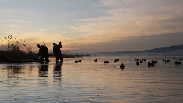 two hunters throwing duck decoys onto a pond