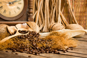 Coffee seed on vintage background