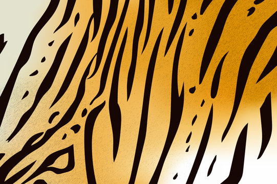 bengal tiger stripe pattern