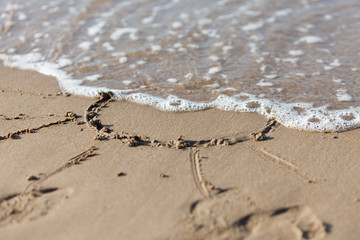 sun   on  sand near  sea