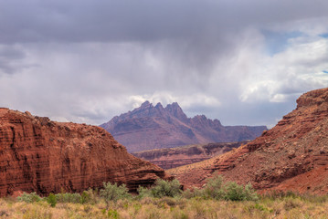 AZ-Paria Canyon Vermillion Cliffs Wilderness. This is the last portion of the 40 mile backpack along the Paria River, heading towards the town of Lee's Ferry.