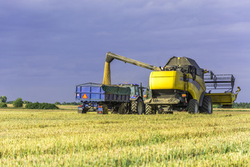 Harvest, fields and meadows during harvest