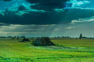 Fields and meadows during harvest