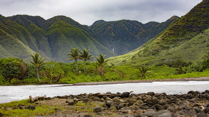 Molokai mountain view