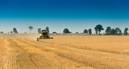 Harvest, fields and meadows during harvest