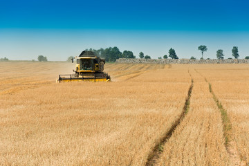 Harvest, fields and meadows during harvest