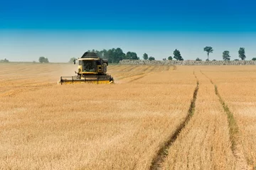 Crédence de cuisine en verre imprimé Campagne Harvest, fields and meadows during harvest