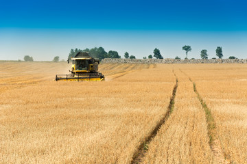Harvest, fields and meadows during harvest