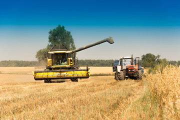 Harvest, fields and meadows during harvest