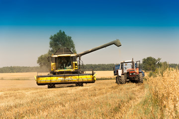 Harvest, fields and meadows during harvest