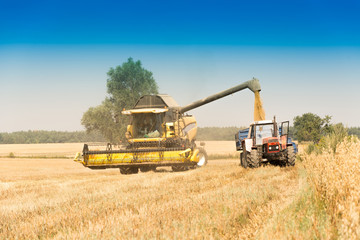 Harvest, fields and meadows during harvest