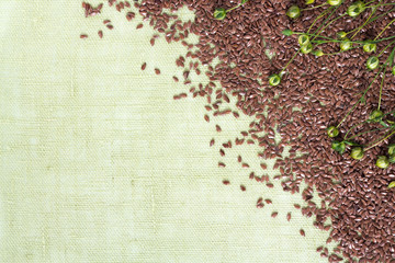 background of dry flax plant capsules and seeds on napkin.