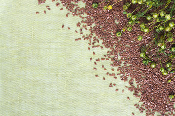background of dry flax plant capsules and seeds on napkin.