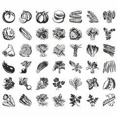 Fototapeta na wymiar Set of icons of vegetables. vector black