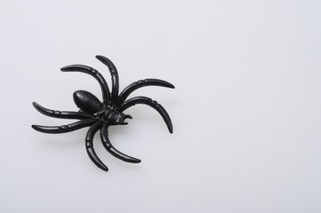 Halloween black spider