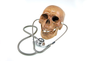 Educational medical supply skull wearing stethoscope