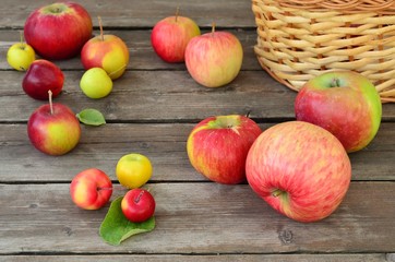 A variety of apples
