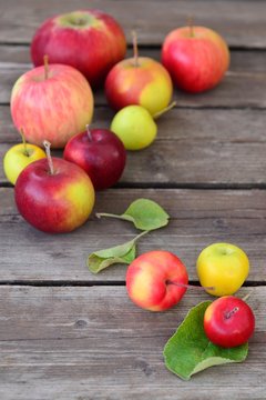 A variety of apples